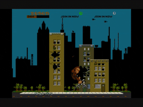 WarpedHilariousAvocet-small